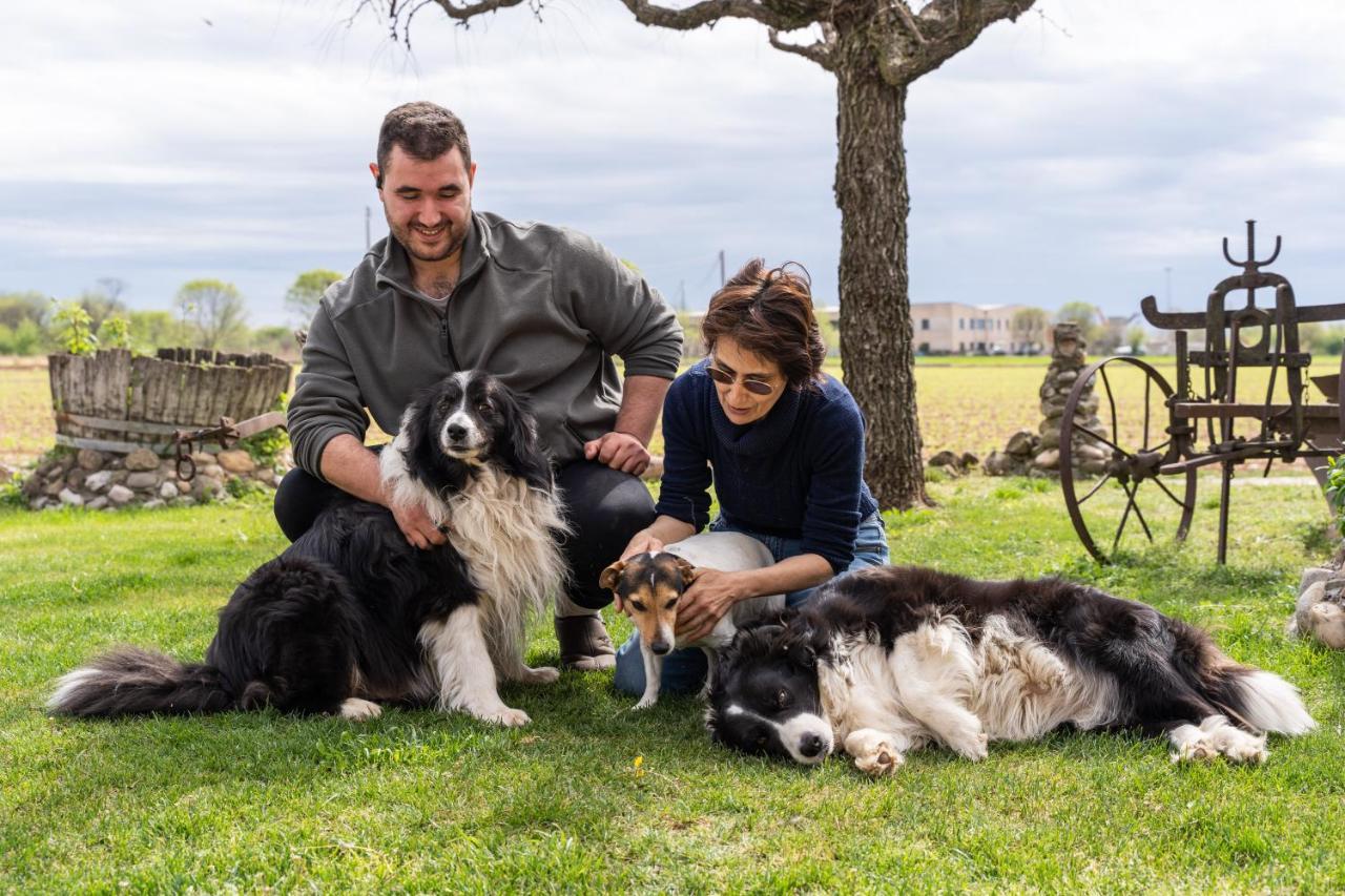 Agriturismo Pozzo Fiorito Кастельони деле Стивиере Екстериор снимка