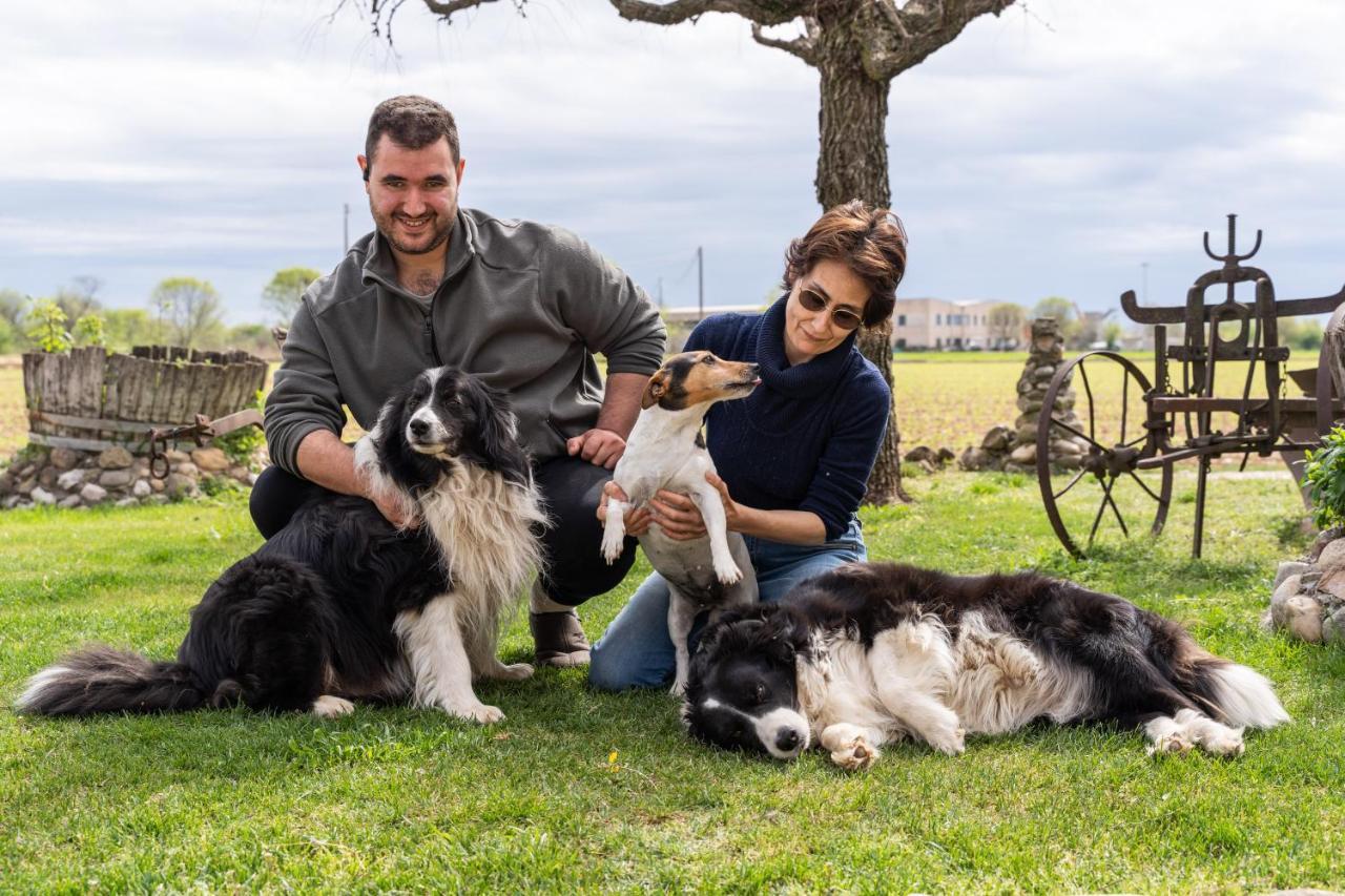 Agriturismo Pozzo Fiorito Кастельони деле Стивиере Екстериор снимка
