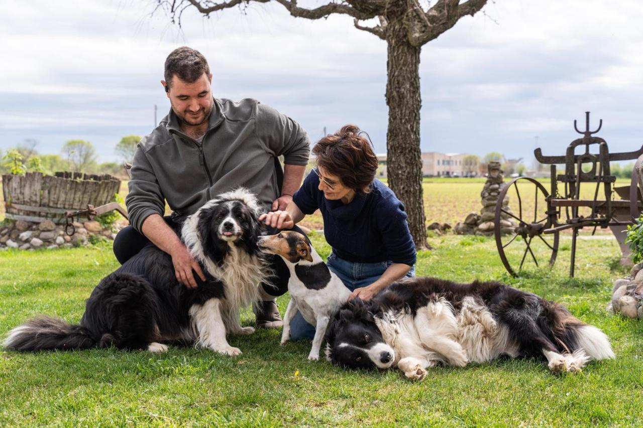 Agriturismo Pozzo Fiorito Кастельони деле Стивиере Екстериор снимка