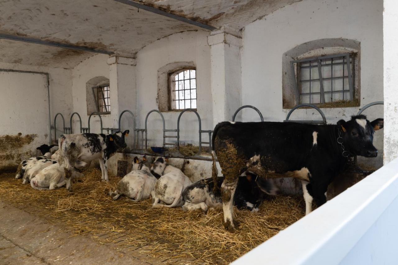 Agriturismo Pozzo Fiorito Кастельони деле Стивиере Екстериор снимка